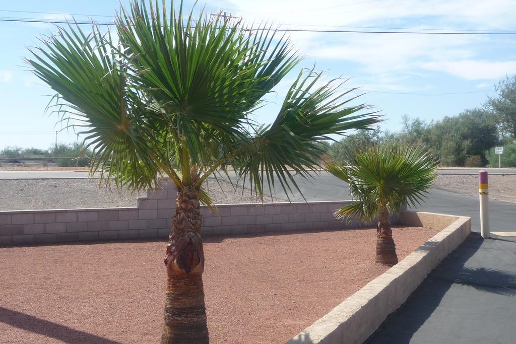 Motel Palms