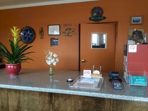 Palms 4*