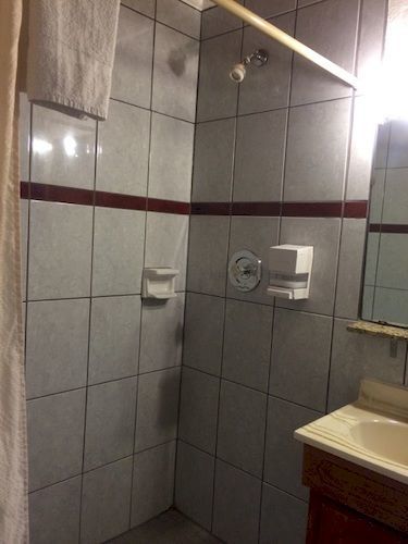 Palms 4*
